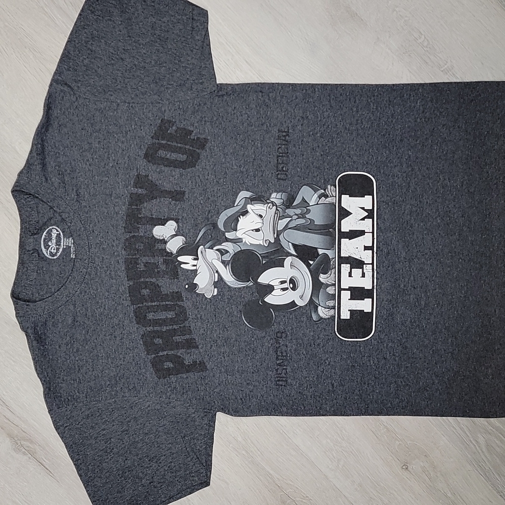 Disney Mens T Shirt Small Heather Gray Property Of Official Team Florida [98]